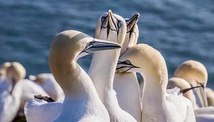 kaiyun网站-赛事转播技术升级，虚拟现实带来沉浸式体验，转播赛事可以收费吗